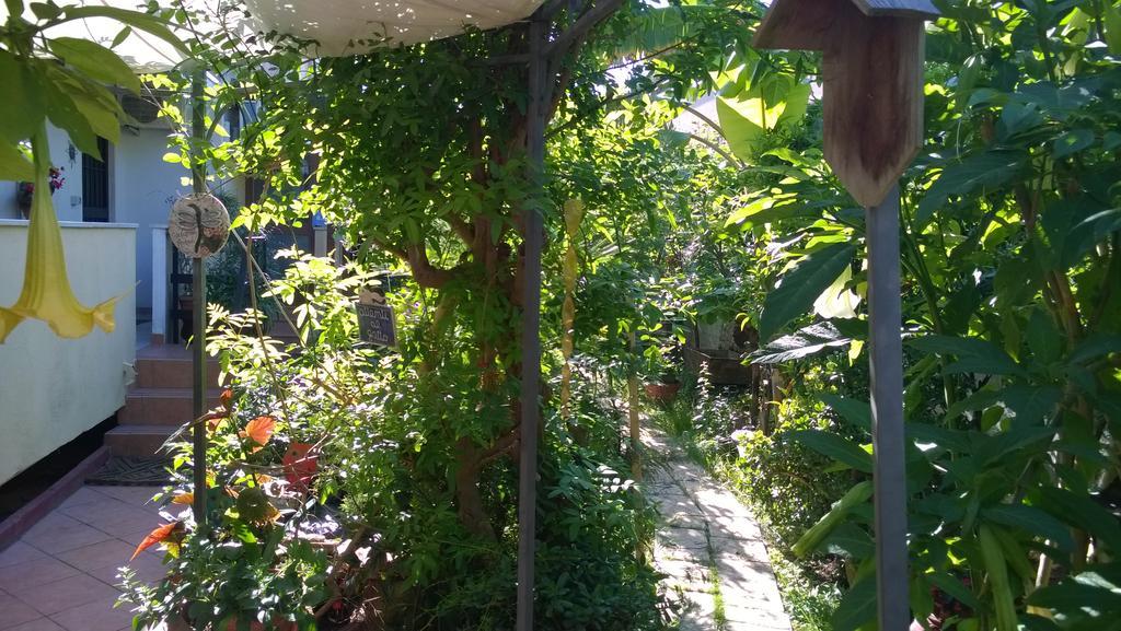 B&B Mare E Sole Бриндизи Екстериор снимка